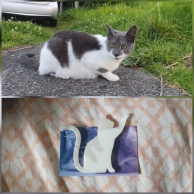 Custom Cat Silhouette - Image 5