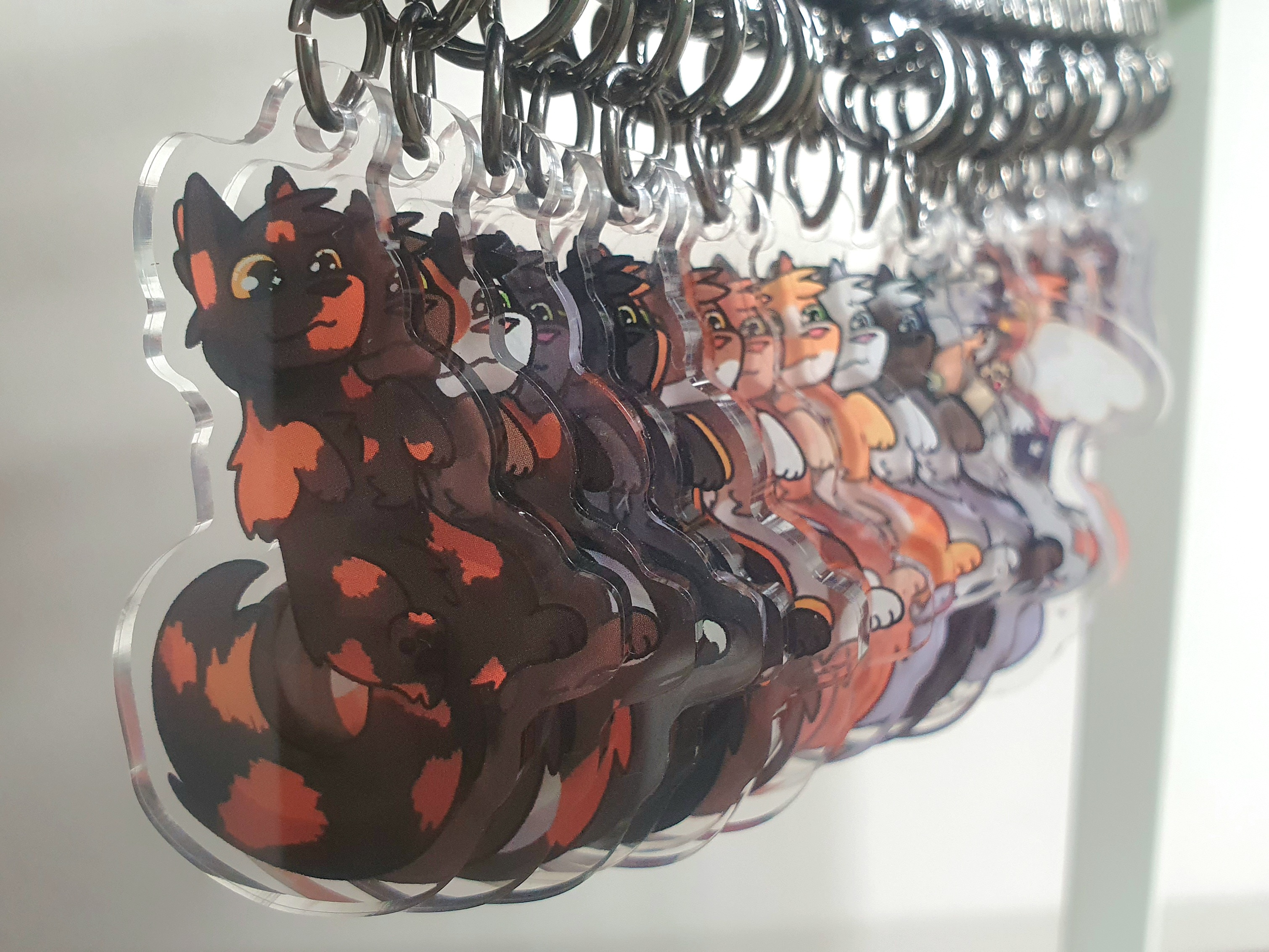 Common Cats Acrylic Keychains - Image 4
