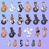 **PREORDER NEW DESIGNS** Common Cats Acrylic Keychains